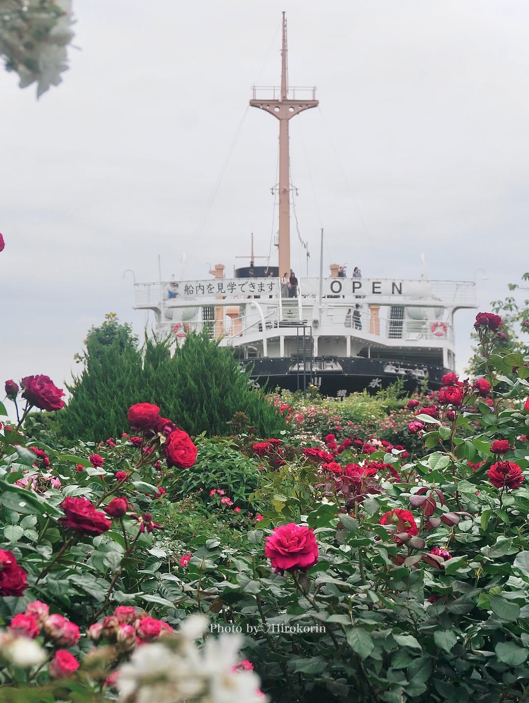 Post 1 by Hiroko Morita/花・遊・旅・食・映 on Instagram (carousel)