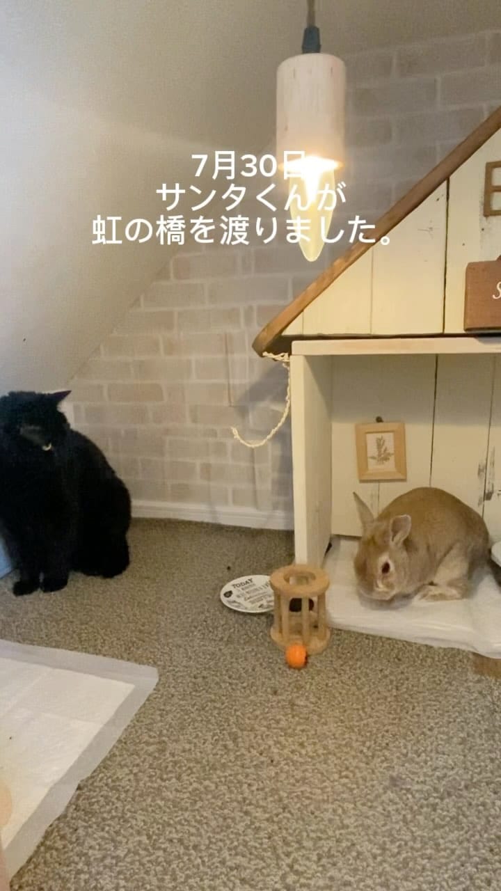 Post 1 by @as___chouchou on Instagram (video)