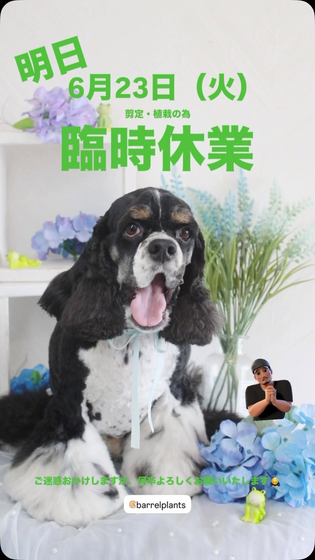 Post 3 by barrelplants（バーレルプランツ） on Instagram (video)