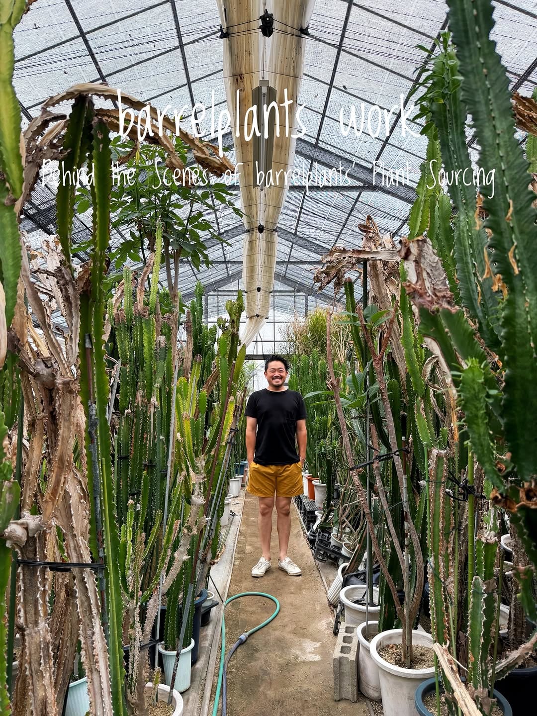 Post 2 by barrelplants（バーレルプランツ） on Instagram (carousel)