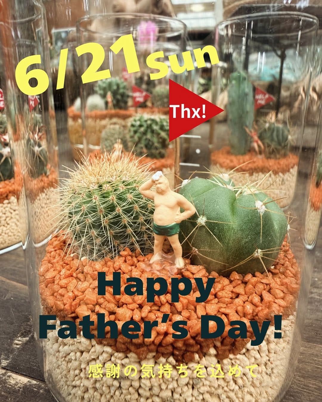 Post 5 by 農園芸資材の専門店 TaiShoDo on Instagram (image)
