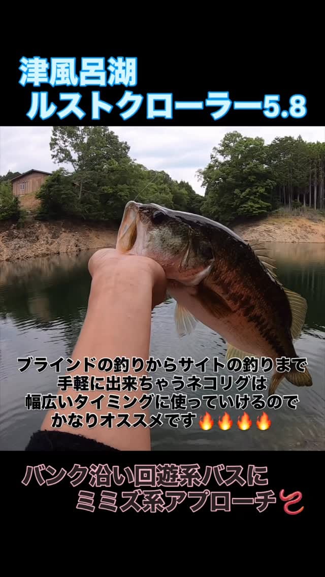 Post 5 by セイゴ（伊藤 晟冴） on Instagram (video)