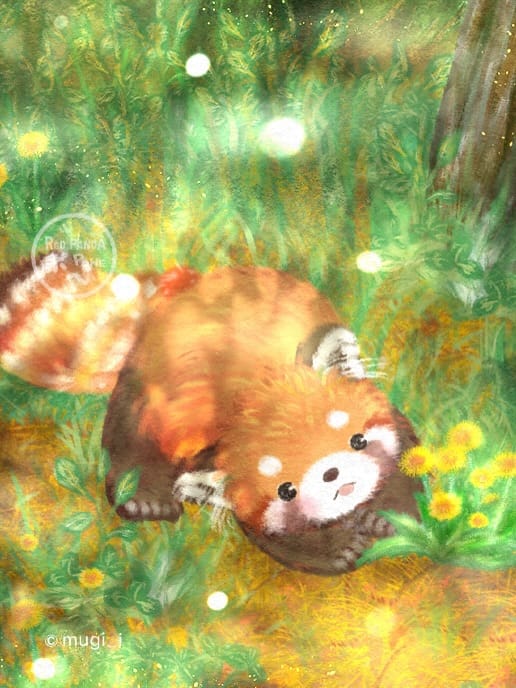 Post 4 by Ito Mugi | Red panda Pohe on Instagram (carousel)