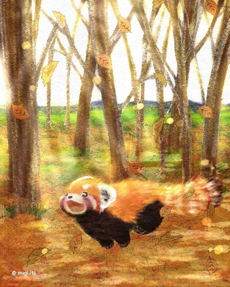 Post 10 by Ito Mugi | Red panda Pohe on Instagram (carousel)