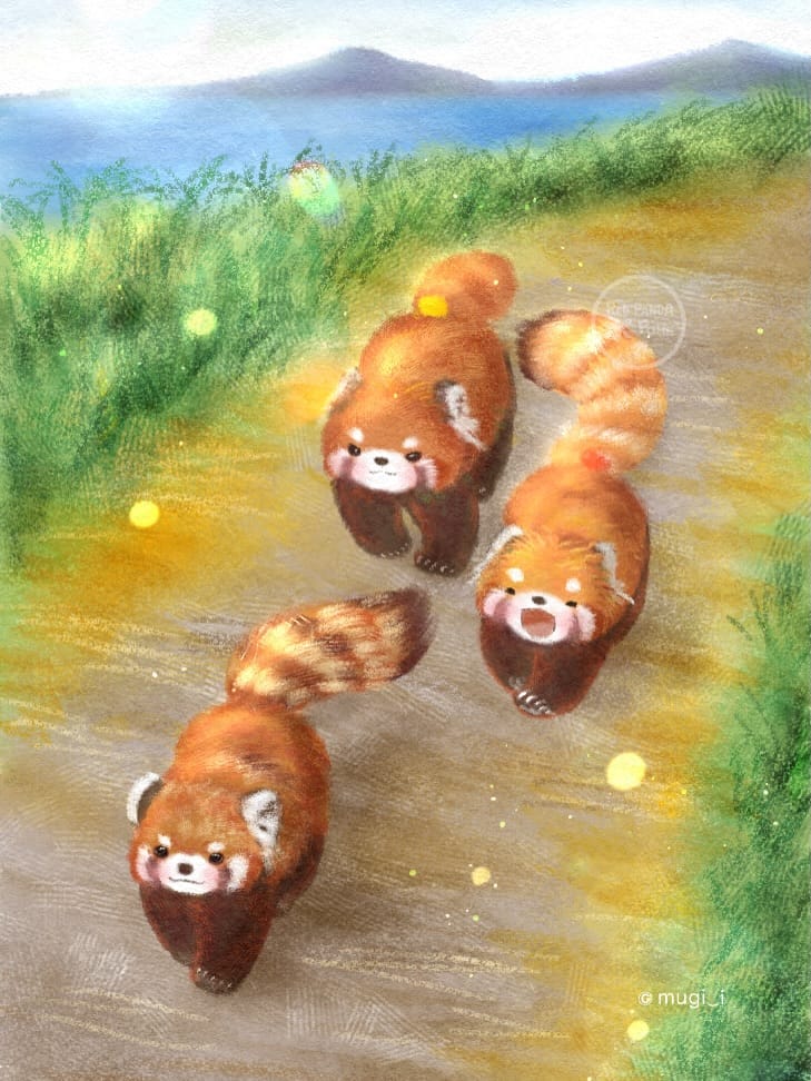 Post 3 by Ito Mugi | Red panda Pohe on Instagram (carousel)