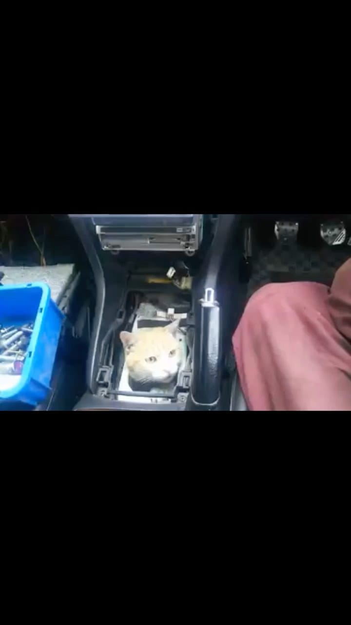 Post 10 by Tadashi  Kiyama on Instagram (video)