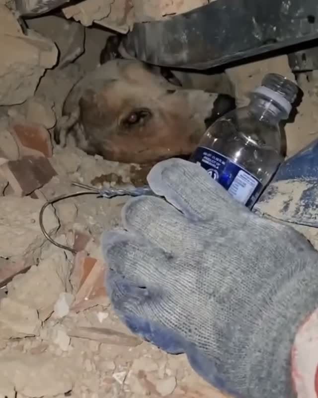 Post 4 by Afshine Emrani MD, FACC on Instagram (video)