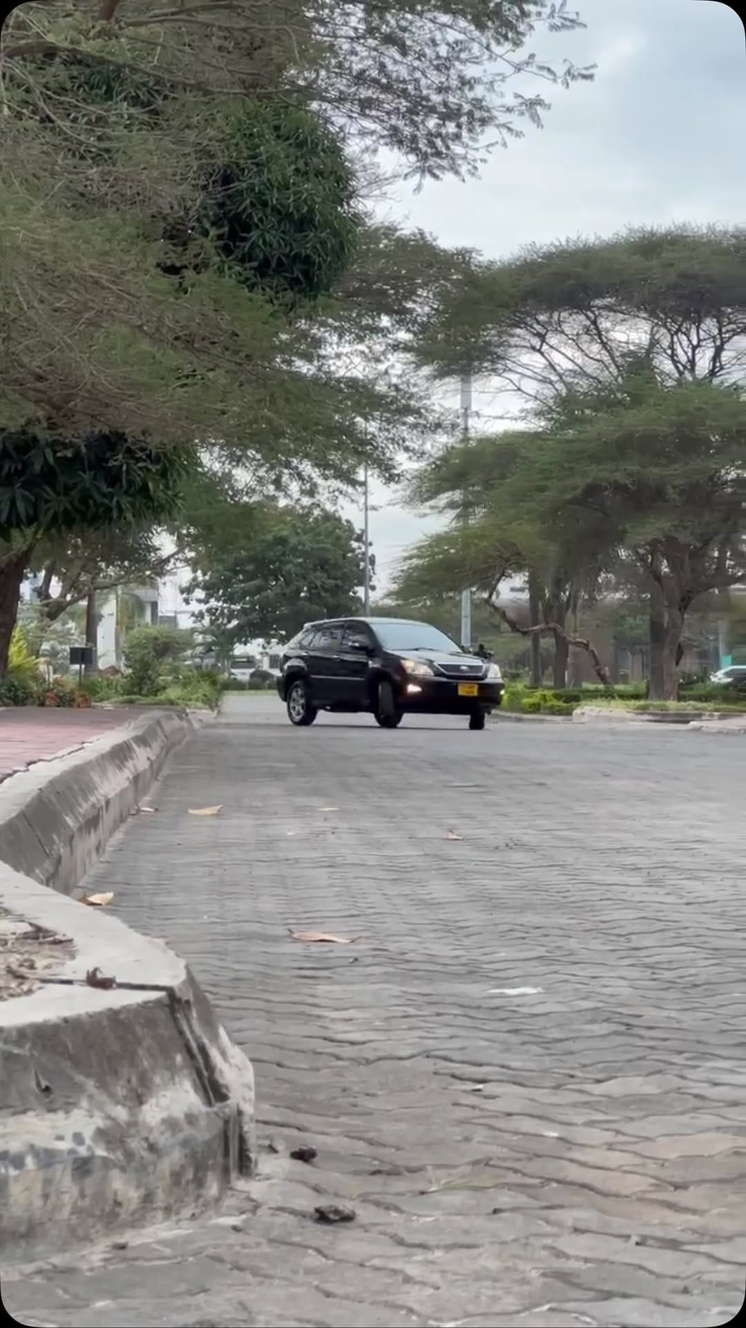 Post 6 by LIONEMOTORS on Instagram (video)