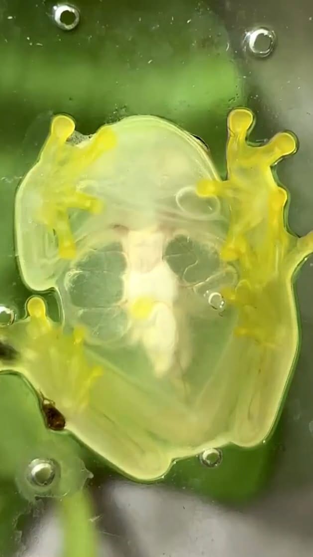 Post 3 by サンシャイン水族館 Sunshine Aquarium on Instagram (video)
