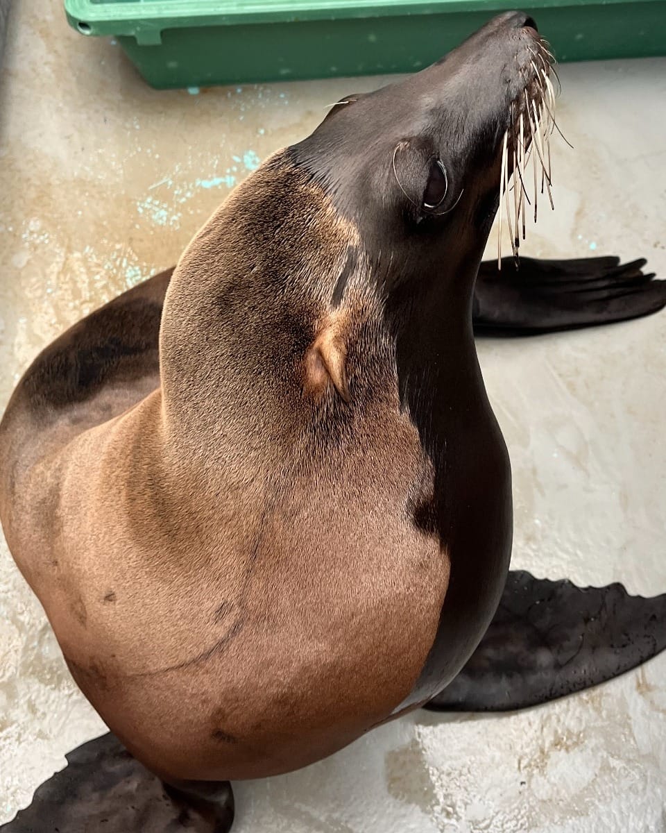 Post 4 by サンシャイン水族館 Sunshine Aquarium on Instagram (image)