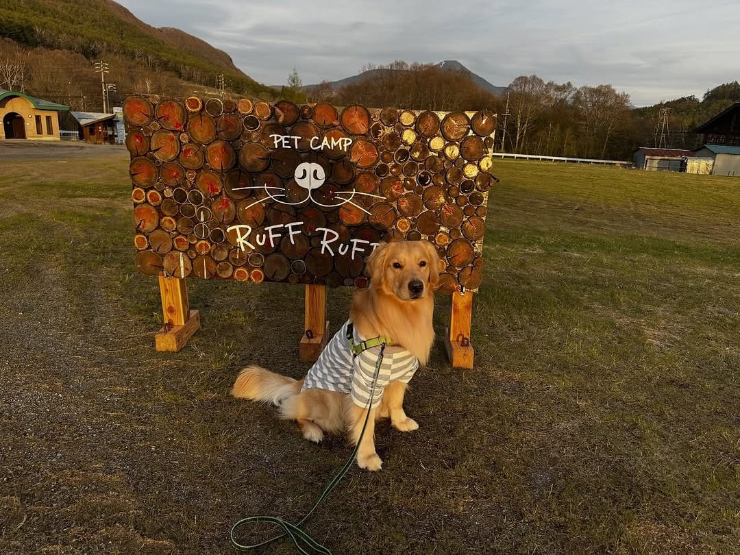 Post 2 by 🦁うにく家のわさびーふ🐻 on Instagram (carousel)
