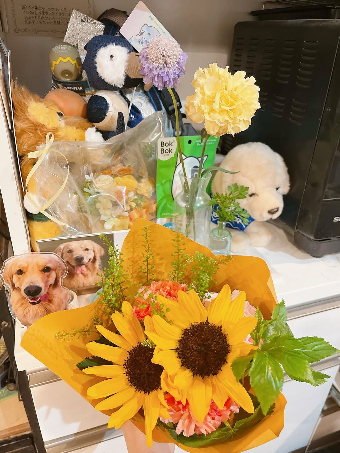 Post 1 by 🦁うにく家のわさびーふ🐻 on Instagram (image)