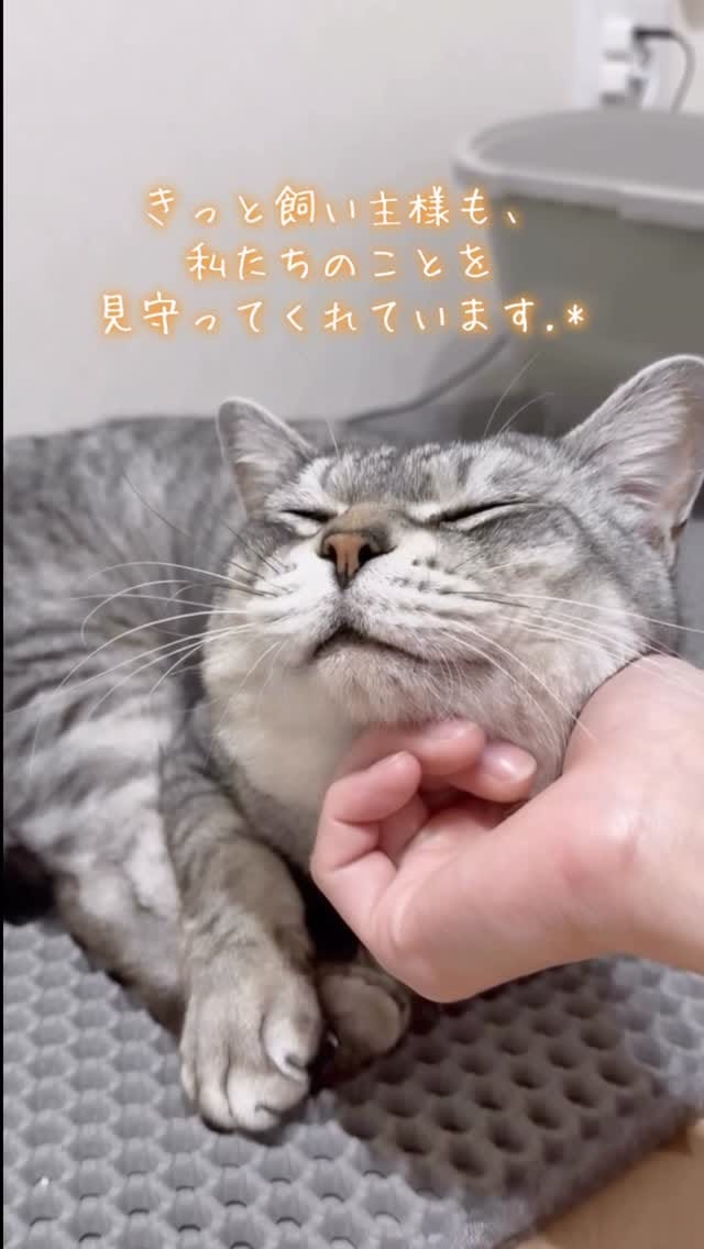 Post 8 by MIKIMOKO on Instagram (video)