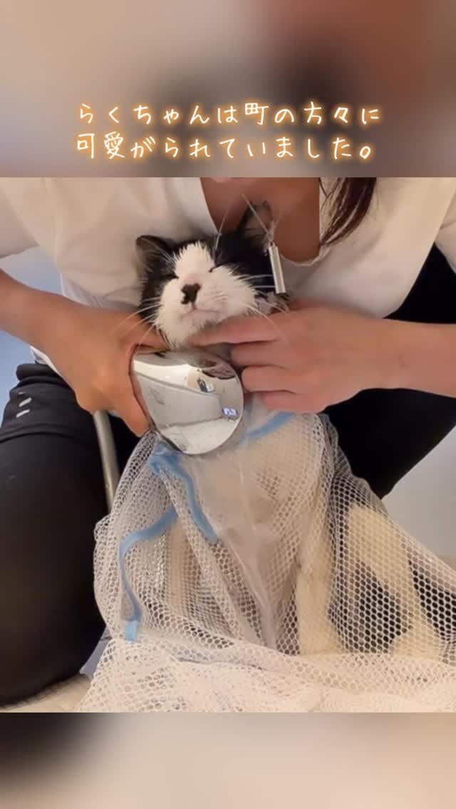Post 6 by MIKIMOKO on Instagram (video)