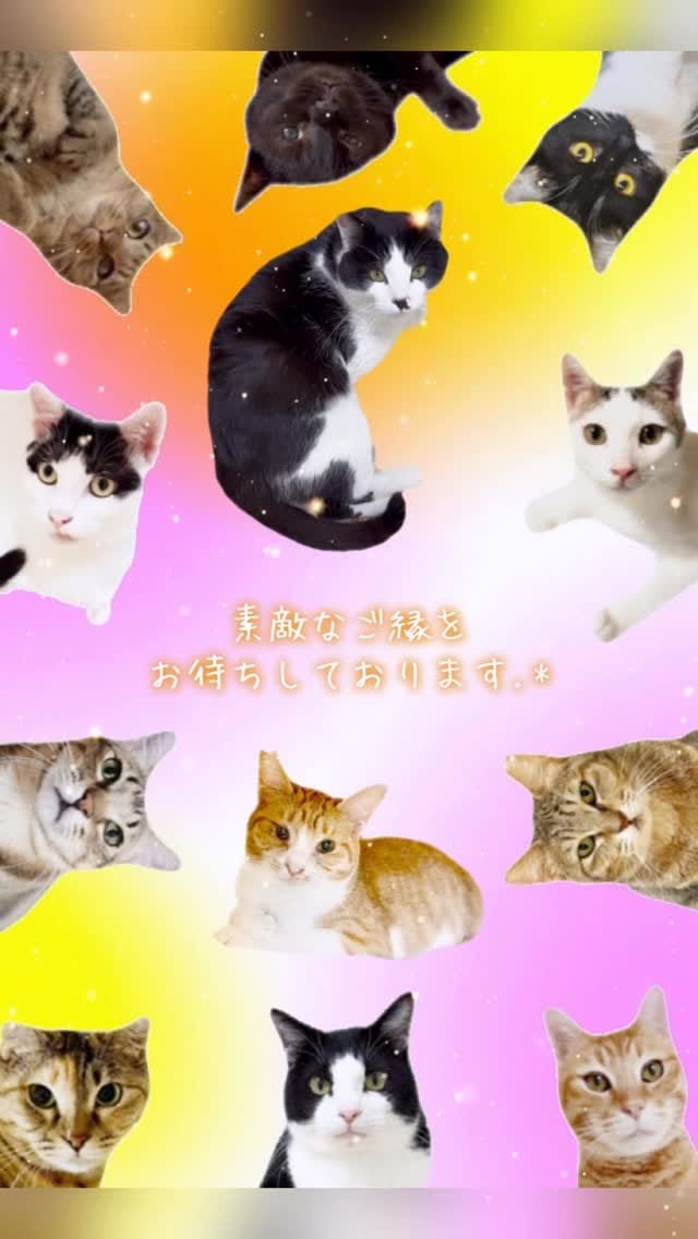 Post 5 by MIKIMOKO on Instagram (video)