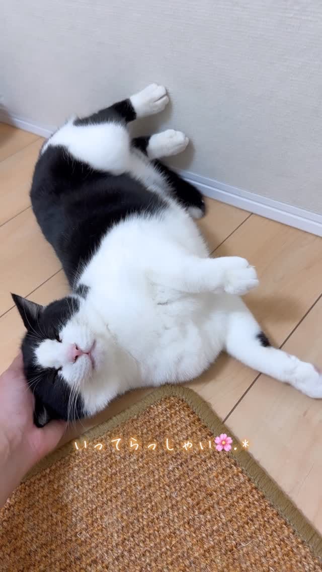 Post 3 by MIKIMOKO on Instagram (video)
