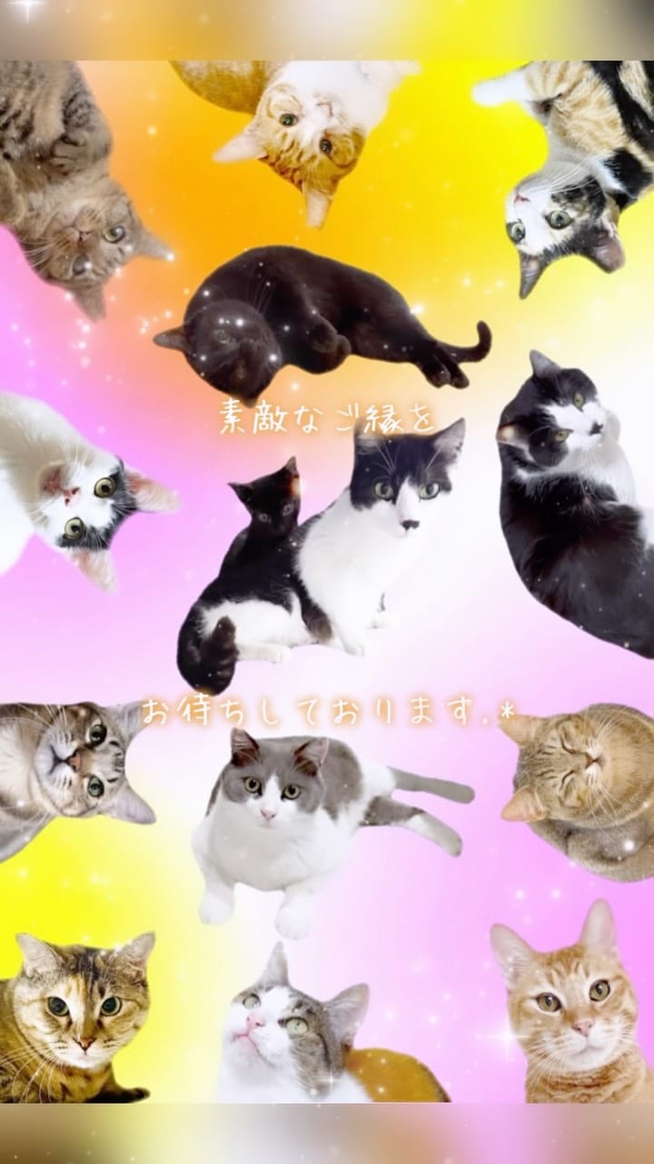 Post 1 by MIKIMOKO on Instagram (video)