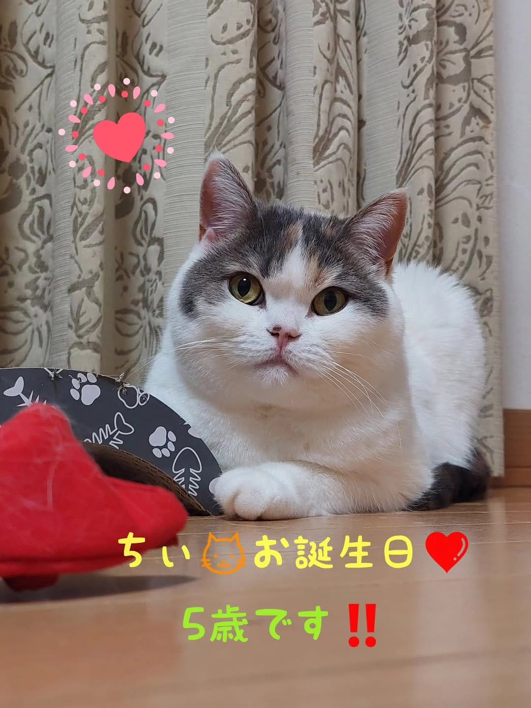 Post 9 by ちぃちゃん/chiichan on Instagram (carousel)