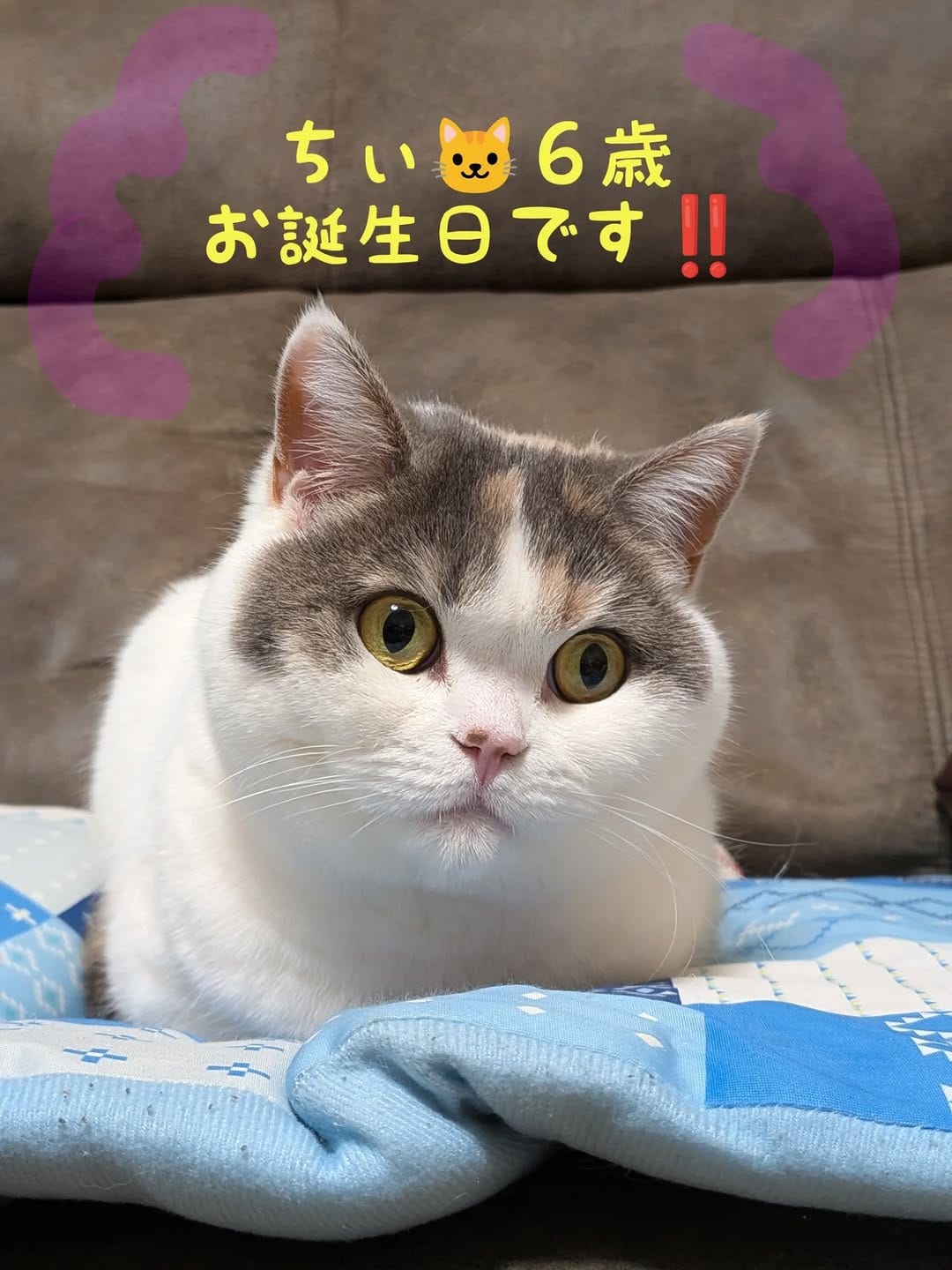 Post 8 by ちぃちゃん/chiichan on Instagram (carousel)