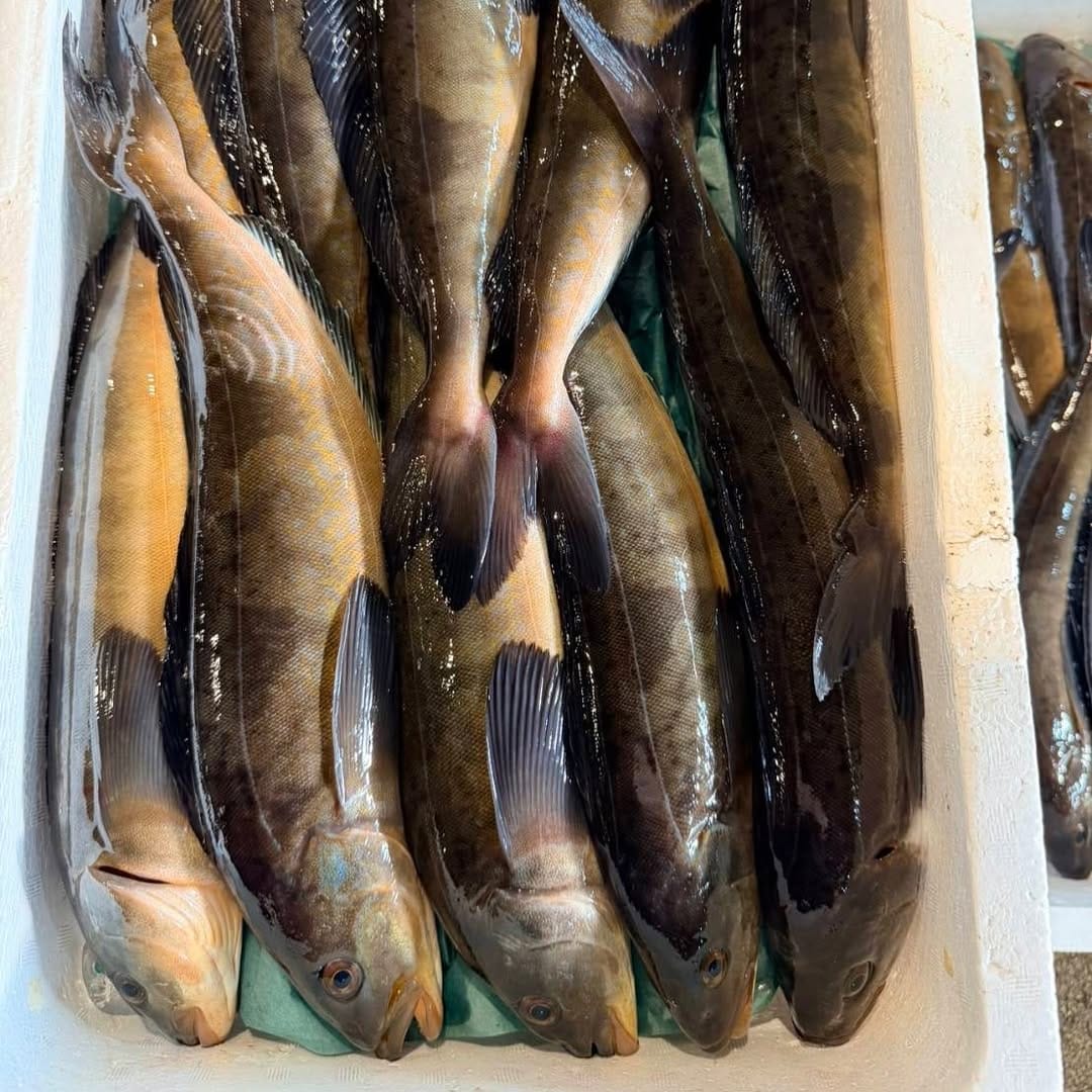 Post 6 by 下の一色魚市場　新栄本店(朝8時から営業) on Instagram (image)