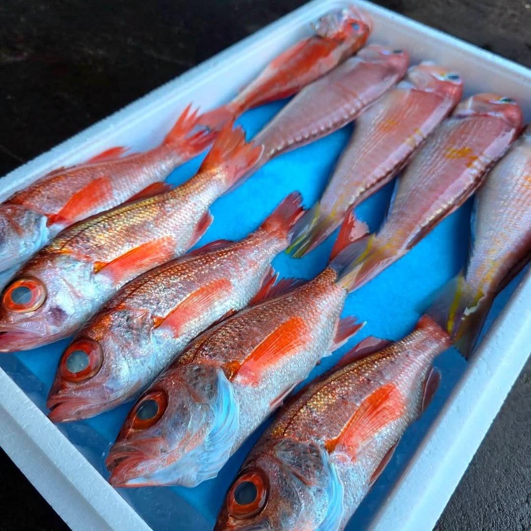 Post 5 by 下の一色魚市場　新栄本店(朝8時から営業) on Instagram (image)