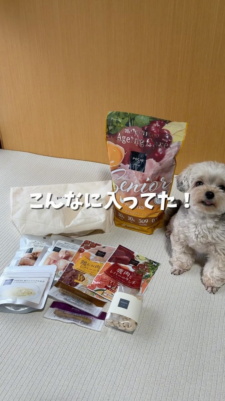 Post 1 by ぽた🐶ヨープーの日常 on Instagram (video)