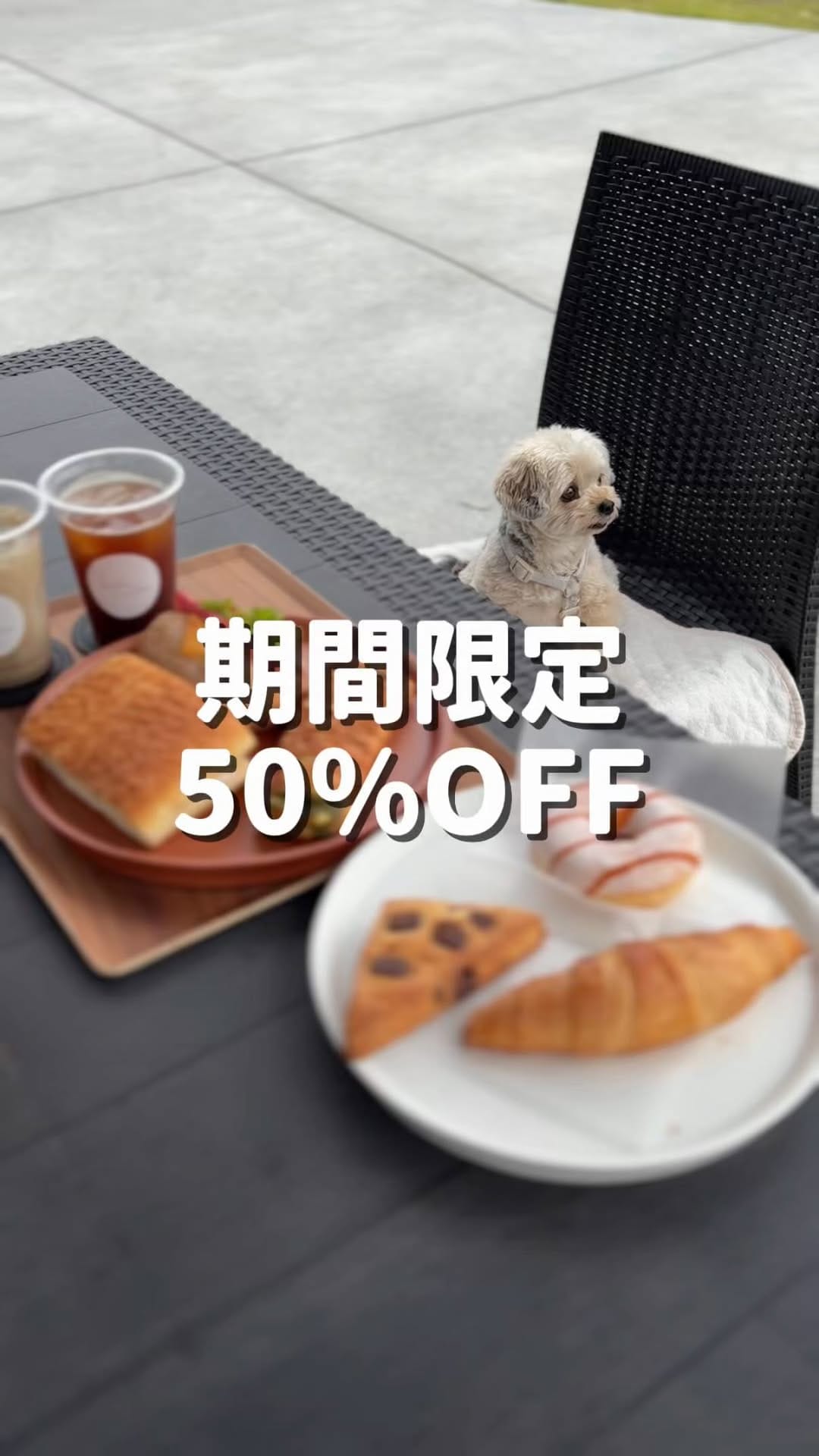 Post 4 by ぽた🐶ヨープーの日常 on Instagram (video)