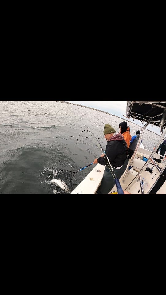 Post 5 by Palmarius Fishing Tackle on Instagram (video)