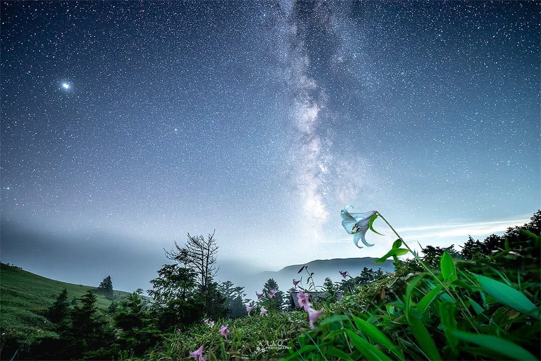 Post 9 by Yoshimasa Kako on Instagram (image)