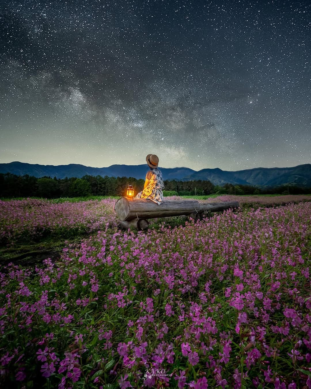 Post 8 by Yoshimasa Kako on Instagram (image)