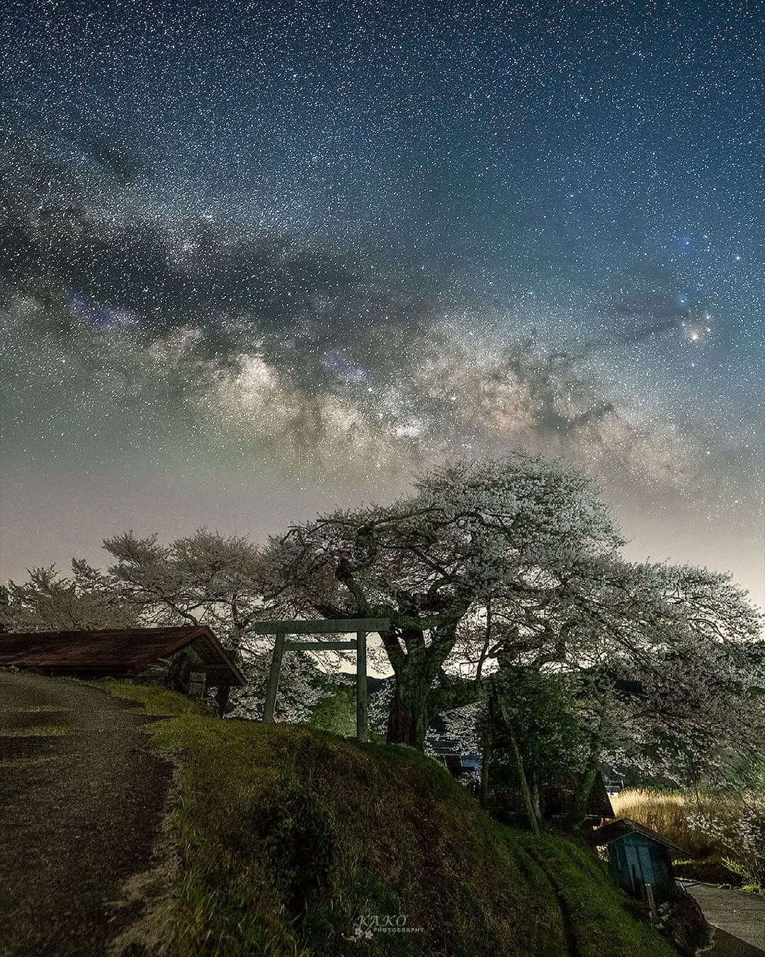 Post 10 by Yoshimasa Kako on Instagram (image)