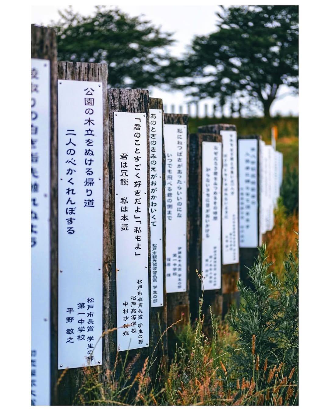 Post 3 by SAM on Instagram (image)