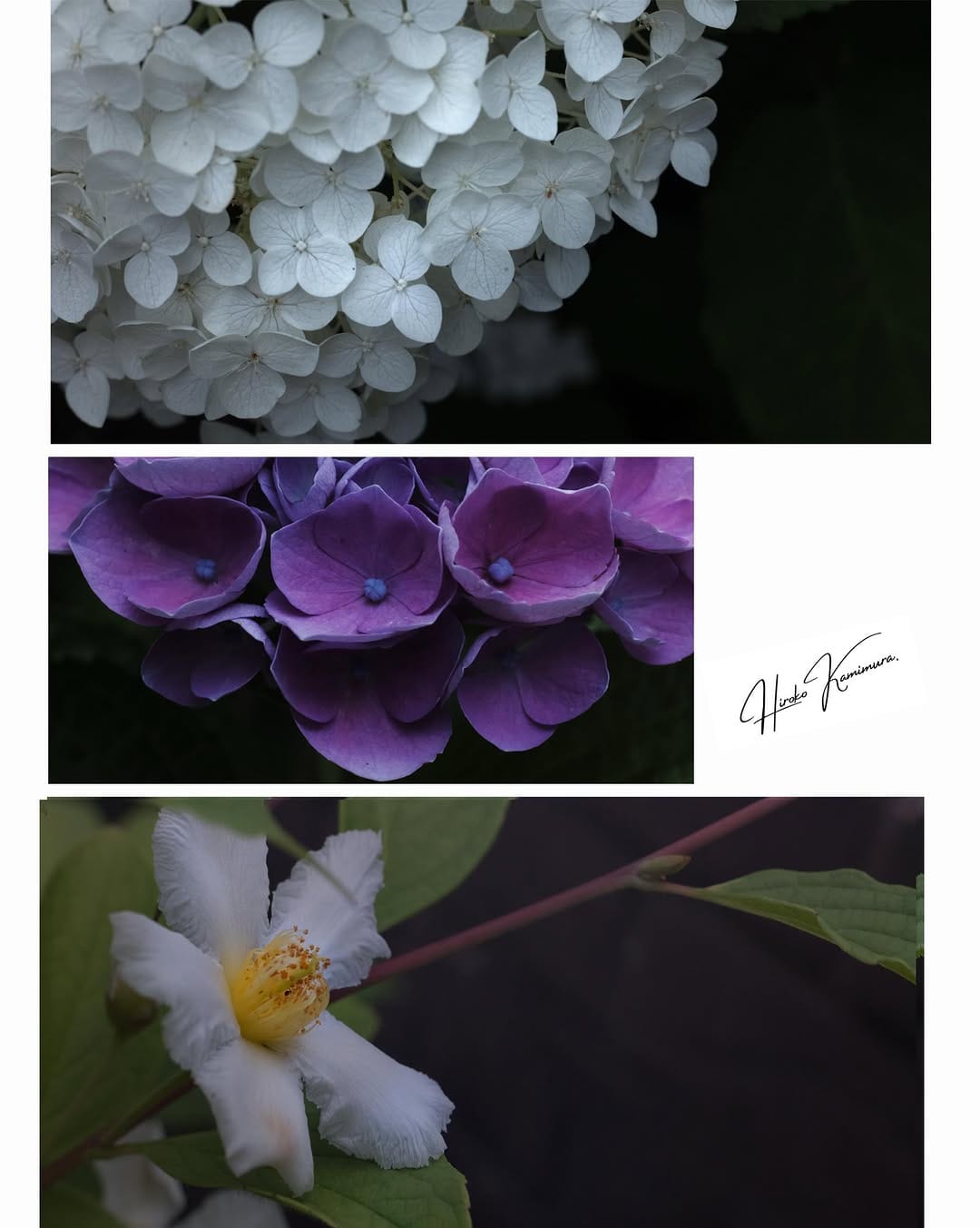 Post 4 by Hiroko on Instagram (image)