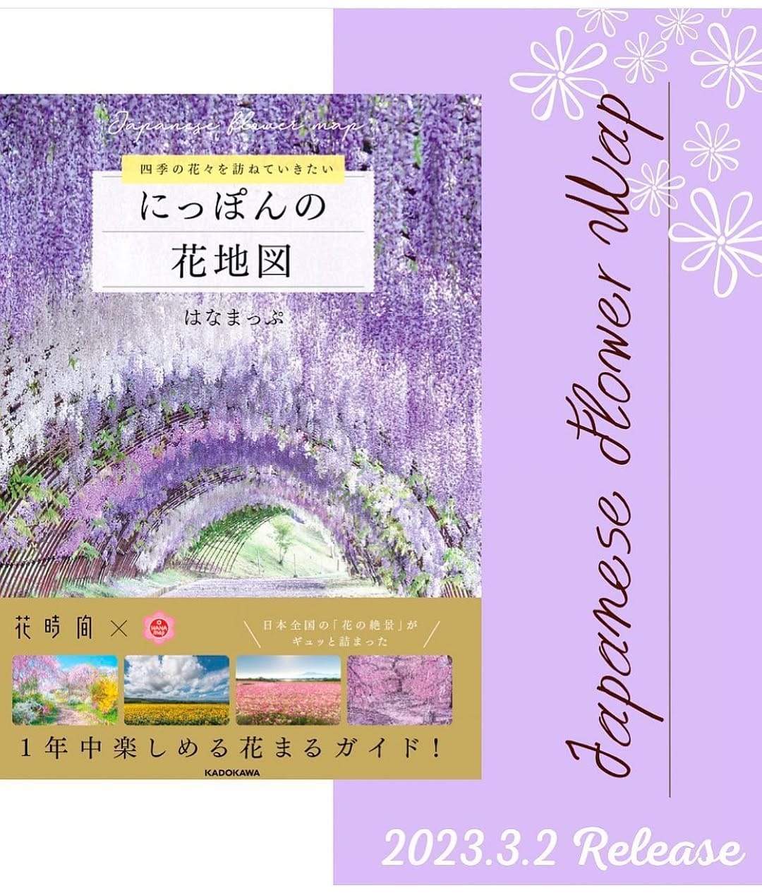 Post 10 by Flower Photography by Yasushi Yoshida on Instagram (image)