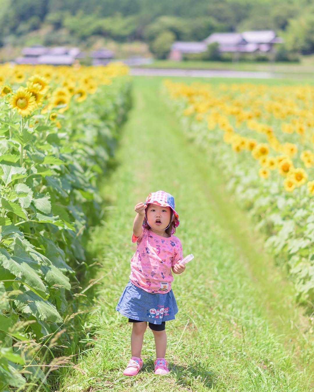 Post 9 by Take / Amateur Photographer on Instagram (image)
