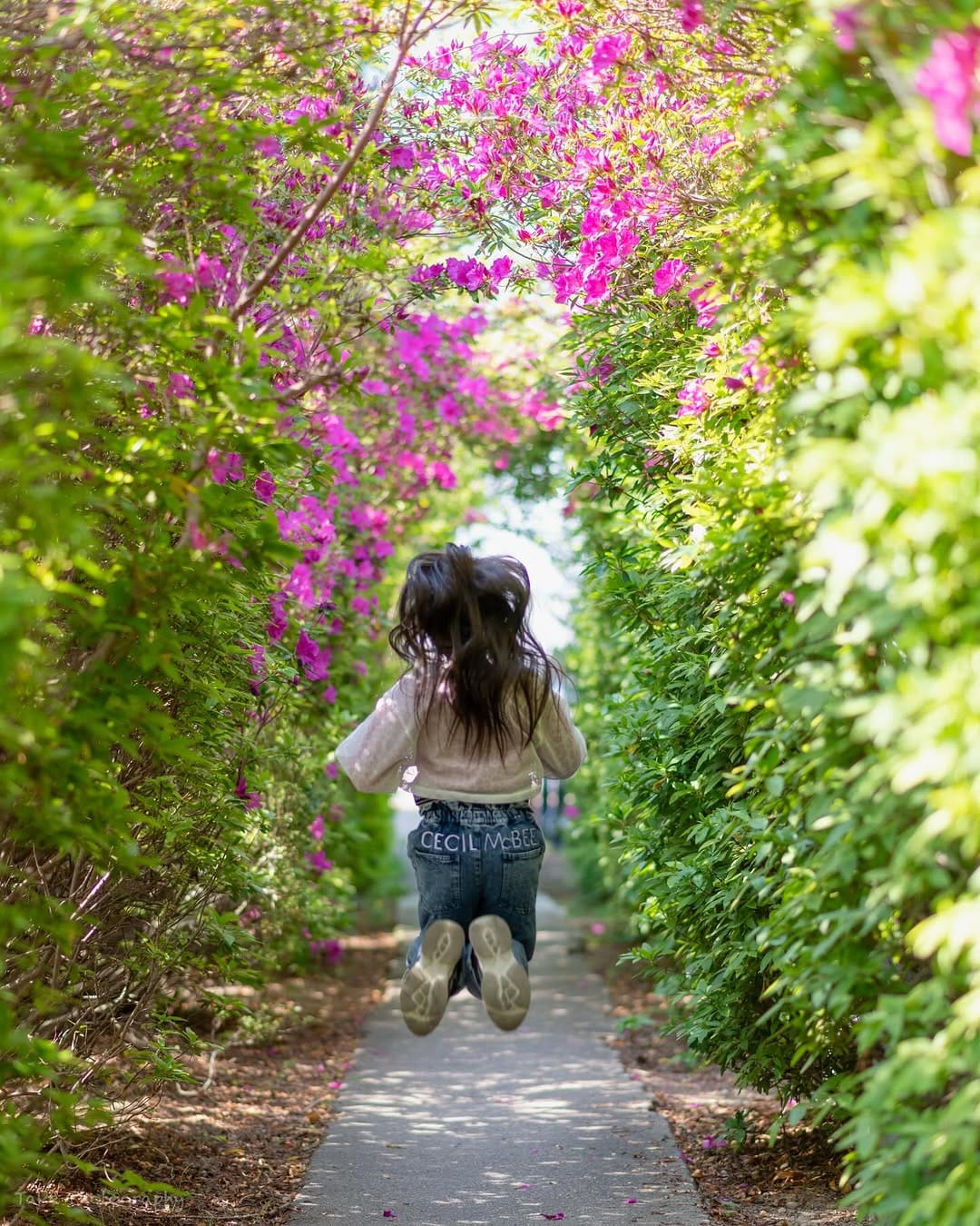 Post 6 by Take / Amateur Photographer on Instagram (image)