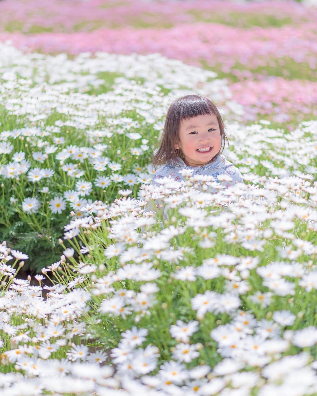 Post 10 by Take / Amateur Photographer on Instagram (image)