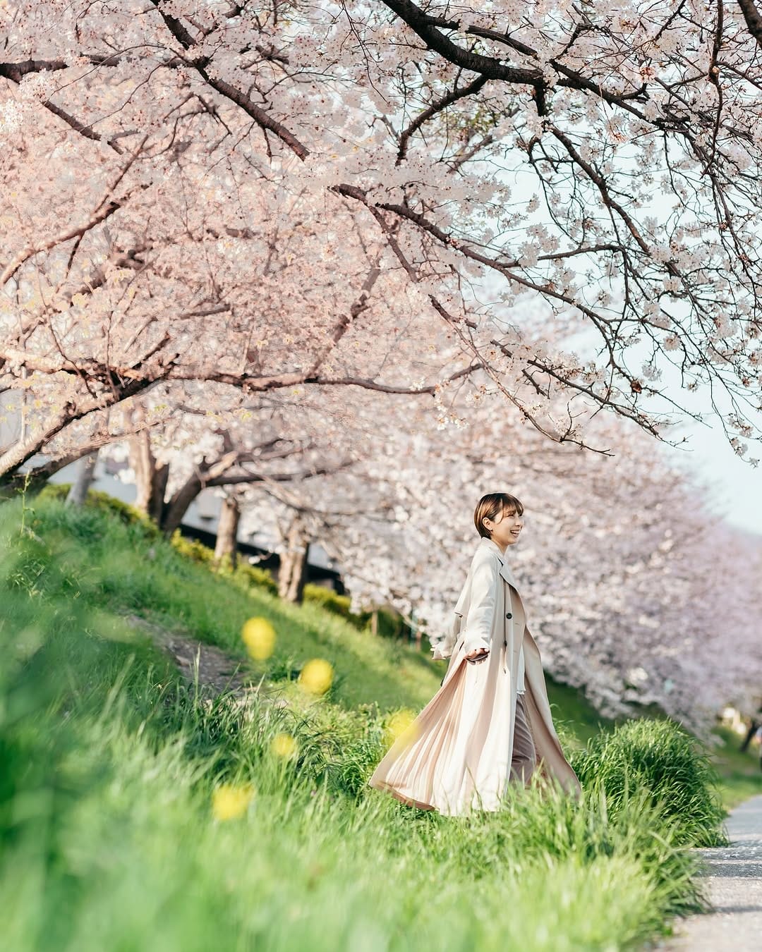 Post 1 by Naoya Shirai | 広島カメラマン らっしー on Instagram (image)