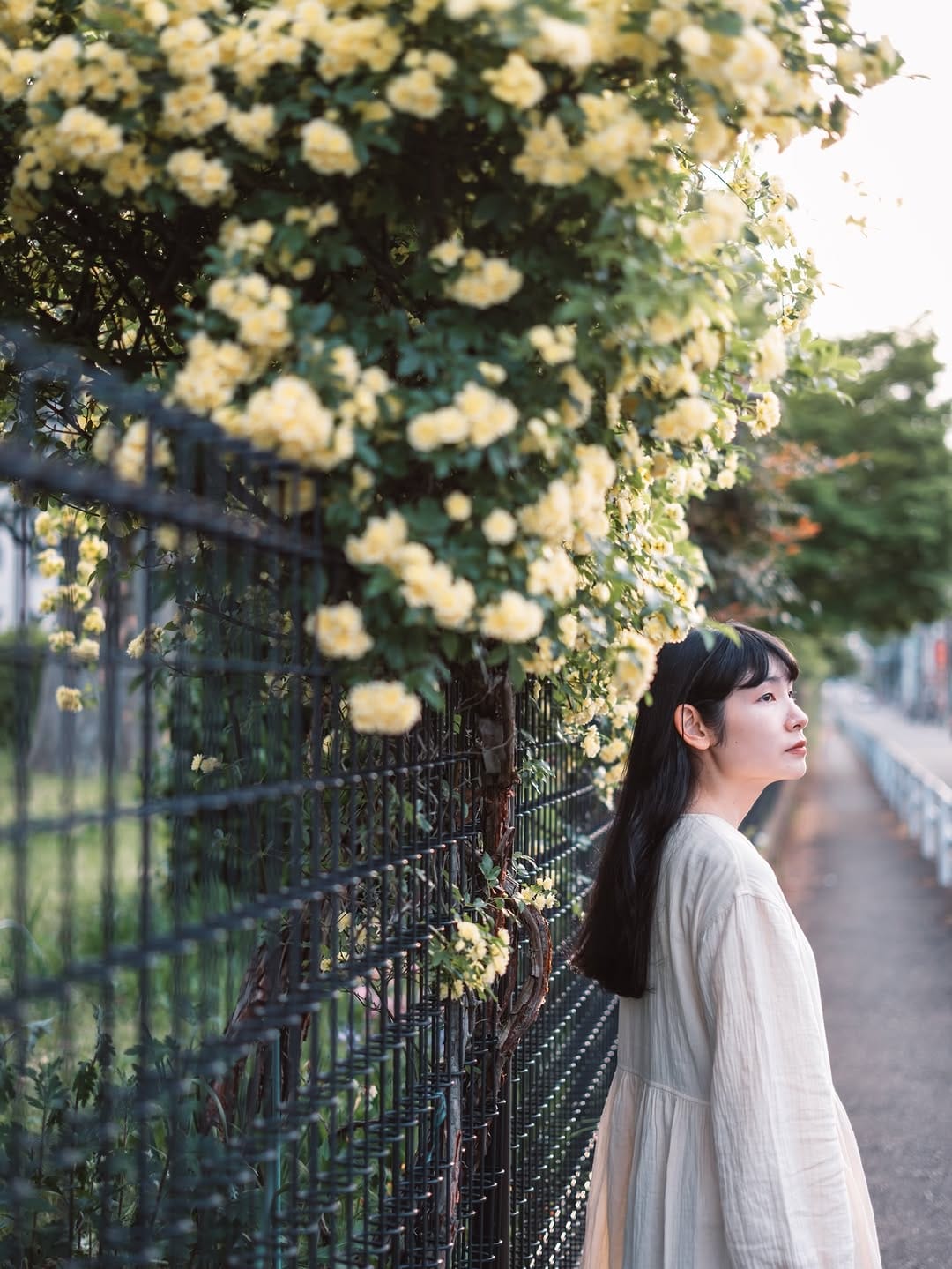 Post 5 by 月川 海人 on Instagram (carousel)