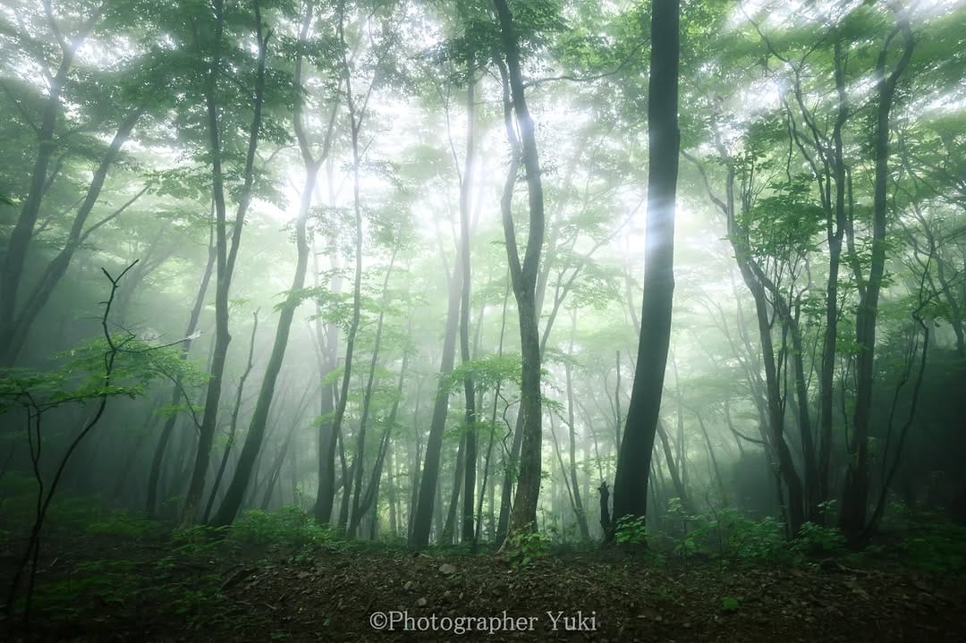 Post 4 by ゆうき｜-山と写真-🗻📸 on Instagram (carousel)
