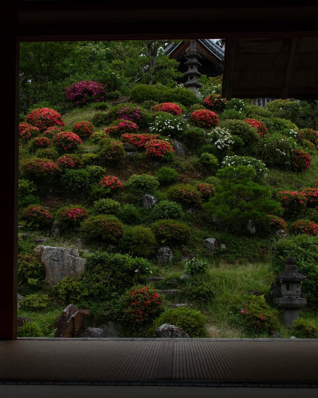 Post 3 by Masayuki Nakamura on Instagram (carousel)