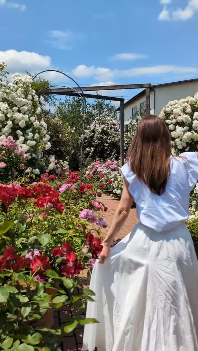 Post 8 by にこん on Instagram (video)