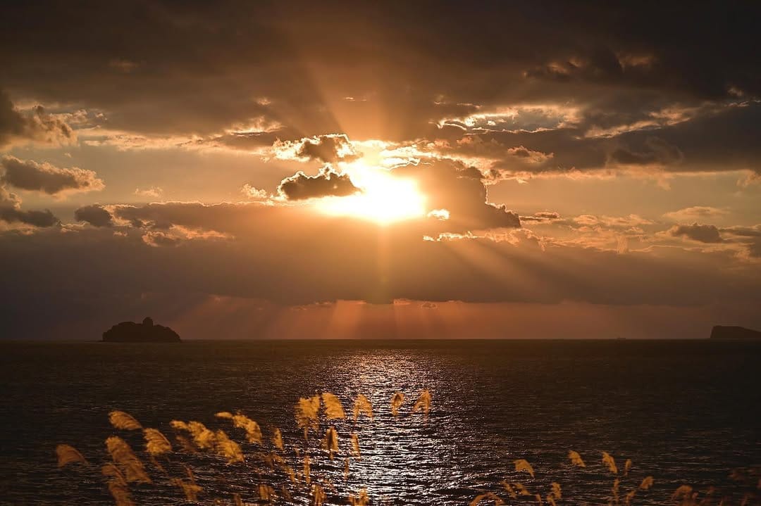 Post 9 by Hidemitsu Hashimoto on Instagram (image)