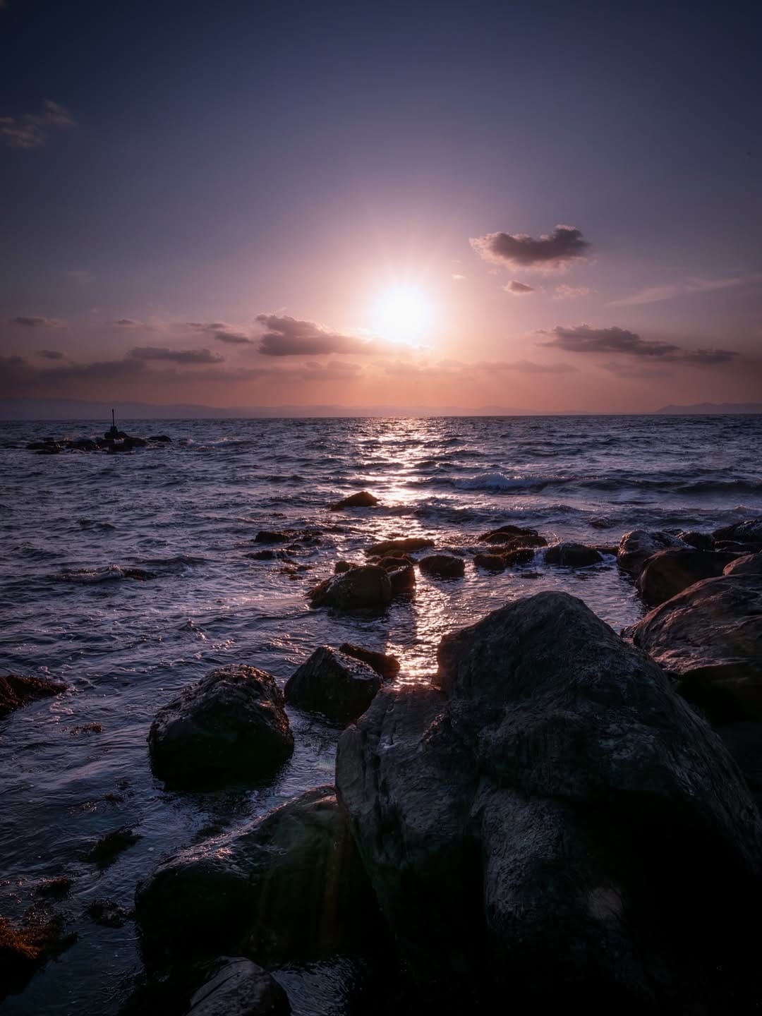 Post 5 by Hidemitsu Hashimoto on Instagram (image)