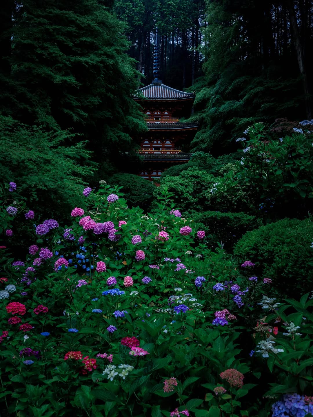Post 6 by 𝐘𝐨-𝐳𝐢 ｜ 光と季節の記録 on Instagram (image)