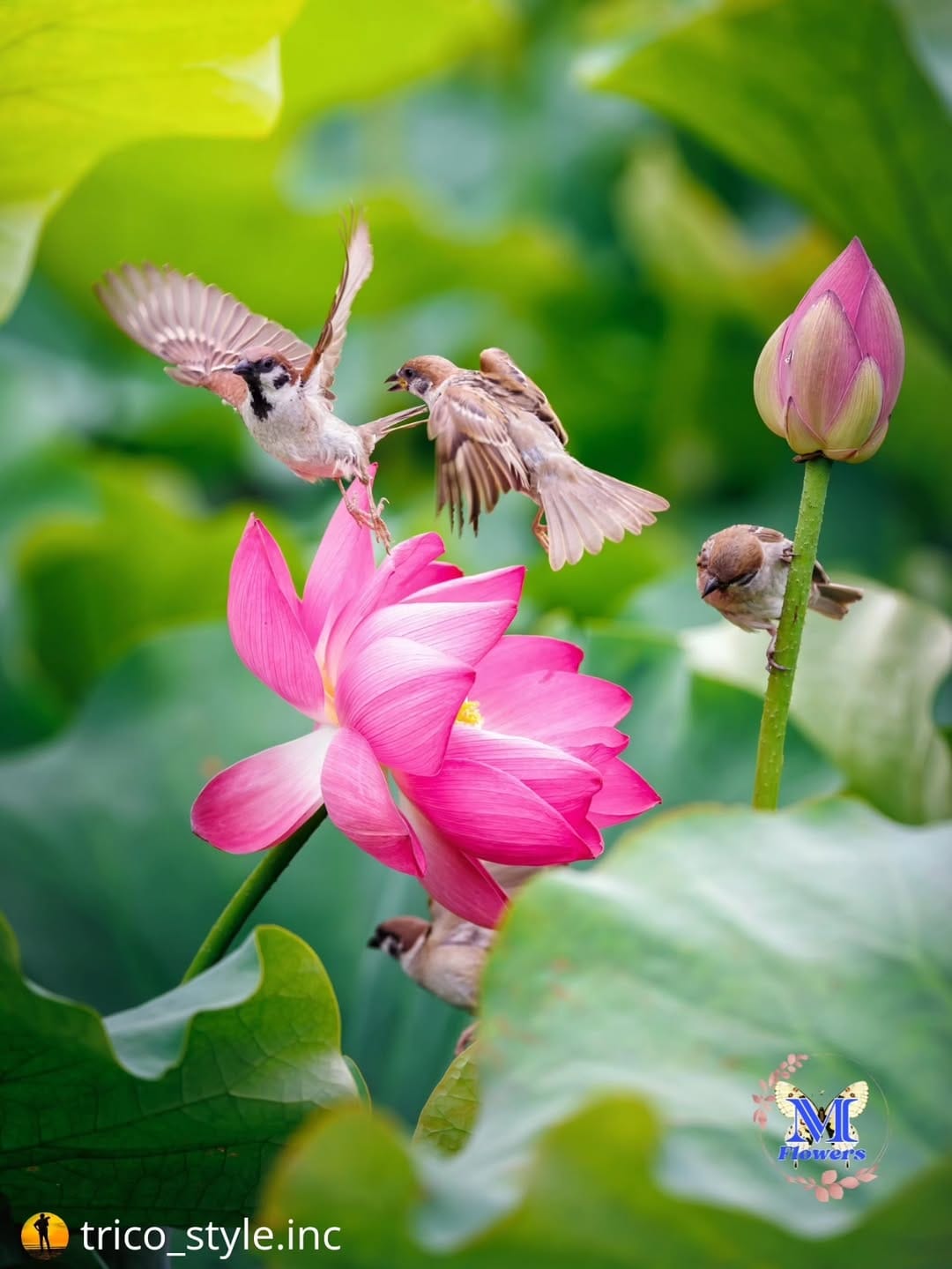 Post 5 by 𝐘𝐨-𝐳𝐢 ｜ 光と季節の記録 on Instagram (image)