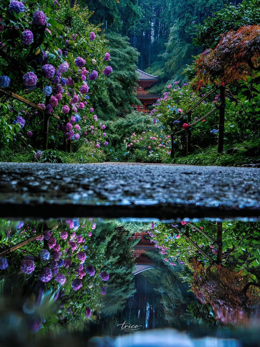 Post 1 by 𝐘𝐨-𝐳𝐢 ｜ 光と季節の記録 on Instagram (image)