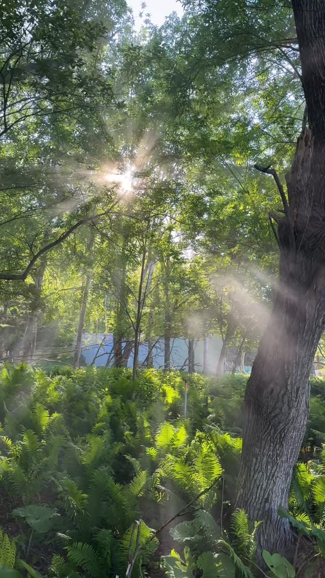 Post 6 by 西内 ひろ Nishiuchi Hiro. on Instagram (video)