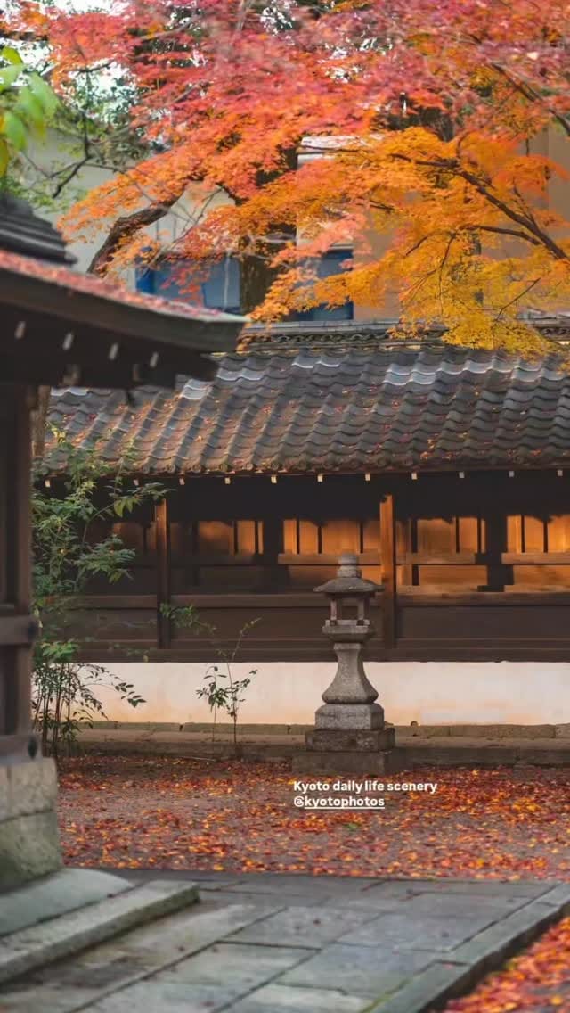Post 6 by Kyoto Photos on Instagram (video)