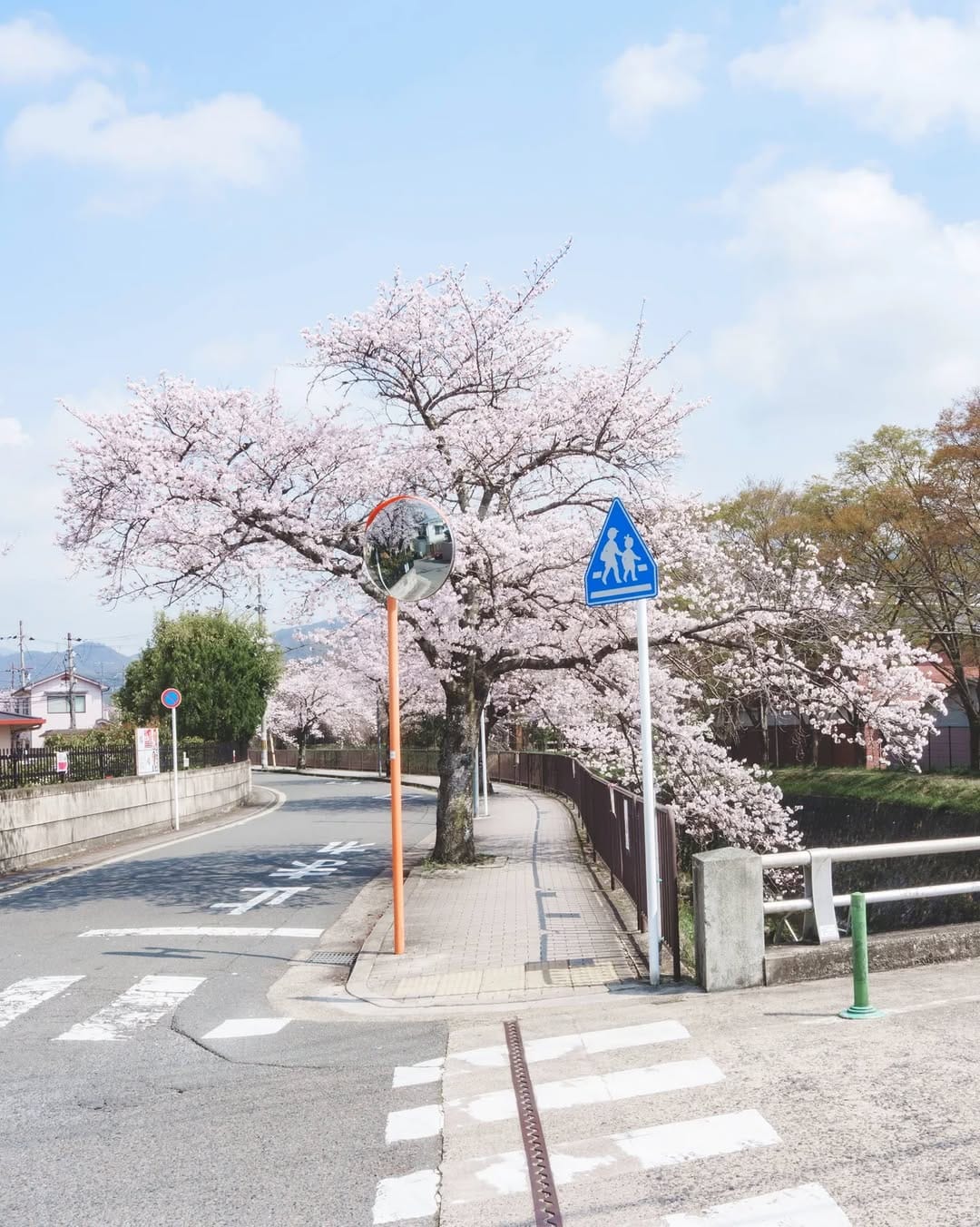 Post 2 by Kyoto Photos on Instagram (carousel)